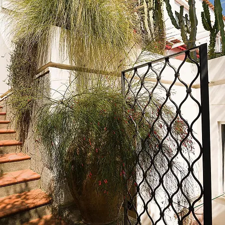 Luna Rossa, Capri